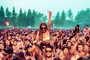 Festivalsommeren nærmer seg!